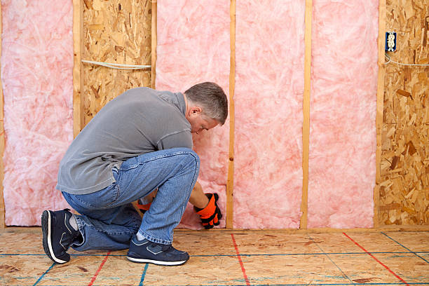 Best Energy Efficiency Solutions in Cottage Lake, WA